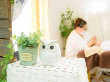 オリアイラッシュ(oli eyelash)/ご来店お待ちしております