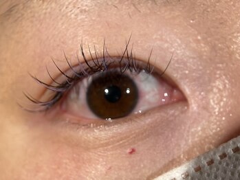 ペアリング(Pairing nail&eyelash)/カラーMIX1色500円~