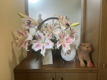 和楽治療院 神楽坂/内観