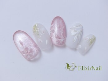 エリクサーネイル 五反田(Elixir Nail)/定額c やり放題／クーポン使用