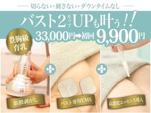 美人バスト 宇都宮店