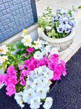 ルルシェリー 白河店&nbsp;東風谷 