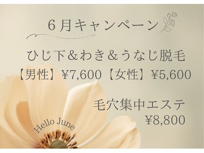 アルム(Arum)の写真
