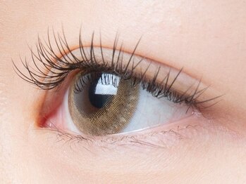 ビューティーサロン ココ 豊田店(Beauty salon COCO)の写真/COCOオリジナル◆"濃さ×軽さ"を追究したフラットラッシュの進化版【フラットプラス50set(100本)¥5400】