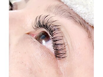 ナップ(Napp)/フラットラッシュDカール200本