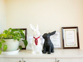ルナ ヴォーチェ(Luna Voce)/サロンマスコットのウサギたち