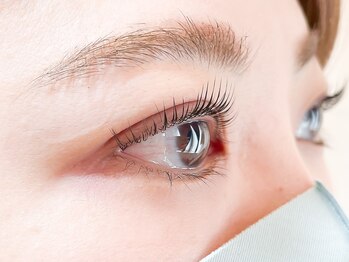 ニコットラッシュ 京橋店(nicott lash)/マツエク［京橋・梅田・福島］