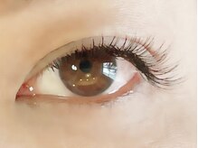 シルドラパン(cils de Lapin)/フラットラッシュ160本