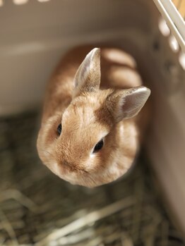 グラントオンボーテ(Grant en beaute)/当店のイメージガール３