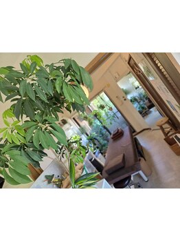 完全個室のリラクゼーションサロン