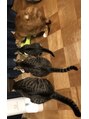 スイ(sui) 猫ちゃん4匹と野良猫3匹を飼っています(^^)癒しの存在です!
