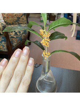 桃の木 吉祥寺店/やっと来た!金木犀の季節