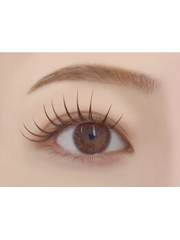 初めての方にオススメ