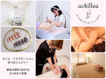 アキレア(achillea)の写真