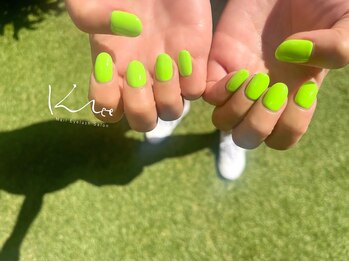 クレー(Klee)/美ワンカラー