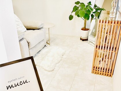 ムク(mucu.)の写真