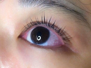 ウルカ アイラッシュ(uruka EYELASH)/ラッシュリフト