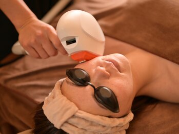 アイビー(IVY)/フォト