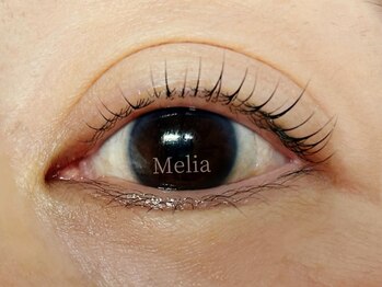 アイラッシュリゾートメリア(eyelash resort Melia)/まつげパーマ