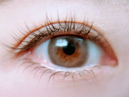 キキ(Kiki)の写真