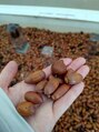 ラダシア 三鷹店(LADASIA)&nbsp;どんぐりの触り心地に癒されました
