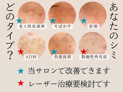 ティーツリー(Tea Tree)の写真