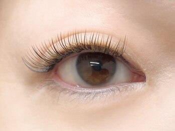 リプリ(RePuli)/ボリュームラッシュ500本