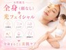 全身脱毛(顔なし)+光フェイシャル