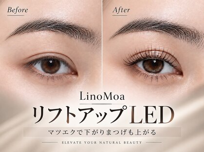 リノモア(LinoMoa)の写真