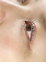 ハル ハロ(halu halo)/立ち上げデザイン