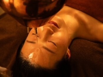 ロータスツリー(LOTUS TREE)/シロダーラ