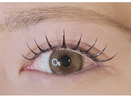 ニーズアイラッシュ(needs eyelash)の写真