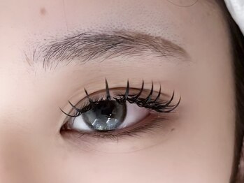 ウルカ アイラッシュ(uruka EYELASH)/フラットラッシュ 200本