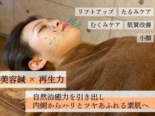 ハリトマト 梅田中崎