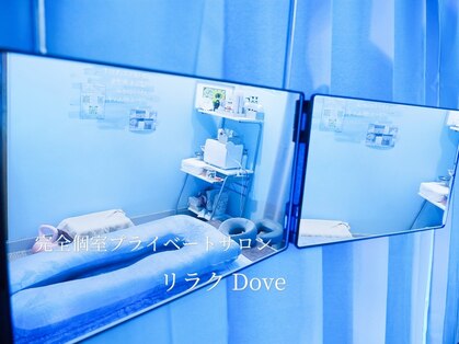 ドーヴ(Dove)の写真