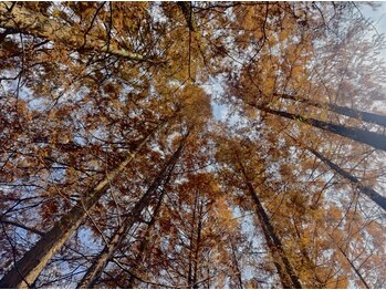 足楽 in 芝大門/