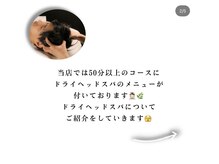 スパアウラ(SPA AuRA)/【ヘッドスパについて】