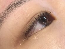 ピクシーボブ(Pixie Bob)/★根本から毛先までカール