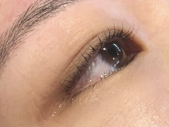 ピクシーボブ(Pixie Bob)/★根本から毛先までカール