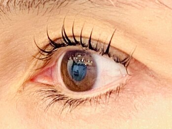 グランデ アム(Grande ame)/まつ毛パーマ/橋本/マツパ