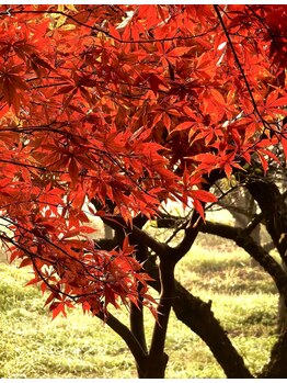 足楽 in 芝大門/