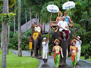 アジアンリラクゼーション ヴィラ 大橋店(asian relaxation villa)/バリ島；サファリウェディング