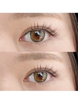 デイジー(DAY'S EYE)/フラットラッシュ120本