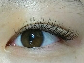 シィラシィル(CilaCills)/フラットラッシュ0.15ミリ140本