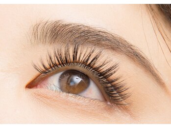 ラッシュスタイル 春日井店(Lash style)/シングルプラス120束