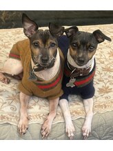 シャルヴィ シャリテ/スタッフ？？？　