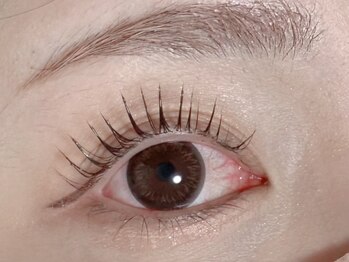 ビス(Vis)/パリジェンヌラッシュリフト