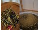 シキ(SIKI)の写真/植物のやさしい香りに癒されながらハーブの成分を全身に取り入れよう★