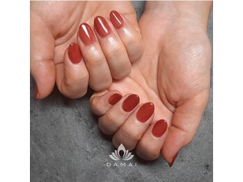 ダマイ 代官山(DAMAI)/【ワンカラーコース】オレンジ