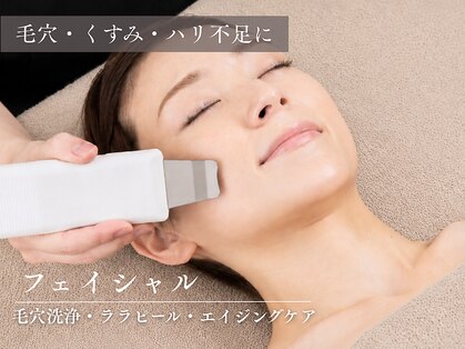エナ(ENA)の写真